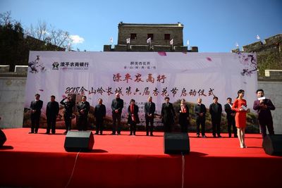 金山嶺上杏花雪，承德春韻醉游人——2018承德賞花季暨第六屆金山嶺長(zhǎng)城杏花節(jié)盛大啟幕